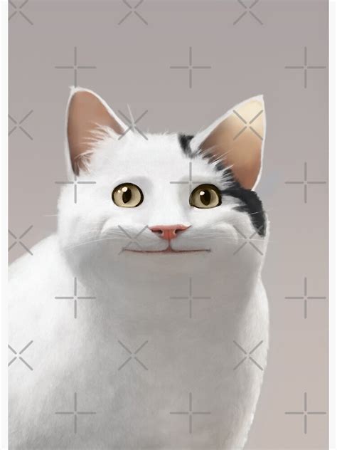 Polite Cat Meme Photographic Print For Sale By Mashz Redbubble
