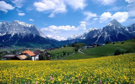 Landscape Spring Mountain Village With Snow Mountains Meadow Flowers