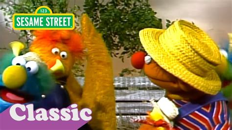 Honker Ducky Dinger Jamboree By Sesame Street Feat Ernie Samples