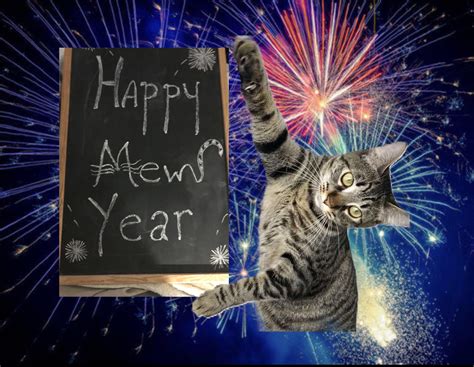 Happy Mew Year With Images Mew Happy Cute Cat