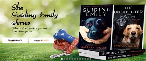 Guiding Emily Series 2 Books Linden Gross