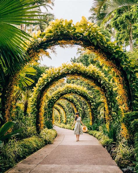 Why You Should Visit The Singapore Botanic Gardens Design