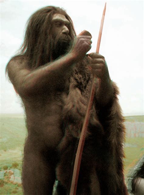 Research News Neanderthal Genome Sequencing Yields Surprising Results And Opens A New Door To