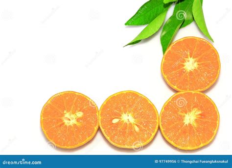 Orange Mandarin Or Tangerine Fruits With Green Leaves Isolate On