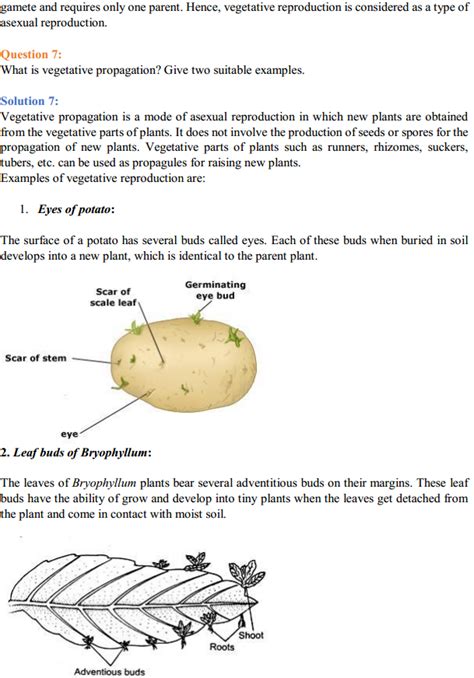 Biology Class 12 Ncert Solutions Chapter 1 Reproduction In Organisms