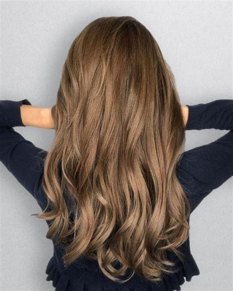 Light Golden Brown Hair Color Bremod Cathi Mohr