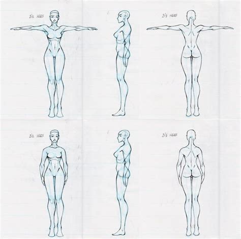 Pin By Maelena Holland On Pose References Female Reference Body Reference Drawing Character