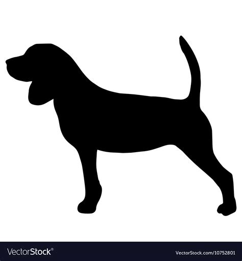 High Quality Silhouette Of Beagle Royalty Free Vector Image