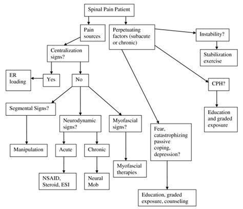 Figure 2 Management Algorithm For The Application Of The Dbcdg