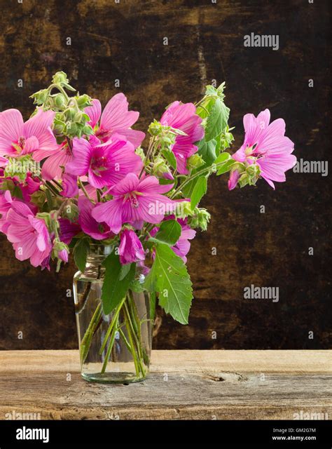 Pink Hibiscus Flowers Bouquet In A Vase On Dark Rustic Background Stock