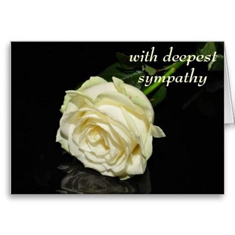 With Deepest Sympathy Cream Rose Card Flower Images Free