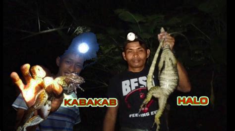 Ep61 Catanduanes Night Hunting Catching Frog And Monitor Lizard