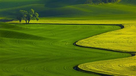 green, Fields, Nature, Landscape Wallpapers HD / Desktop and Mobile Backgrounds