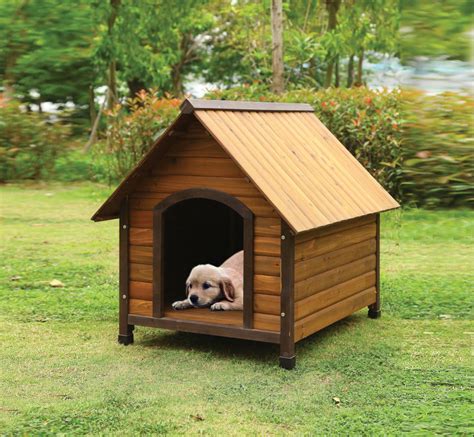 10 Best Outdoor Dog Houses For Small Pooches Your Ultimate Guide To