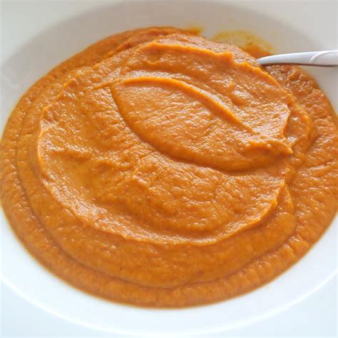 Pureed Carrot Soup Joybee Whats For Dinner
