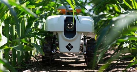 A Growing Presence On The Farm Robots