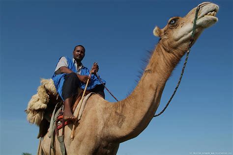 I found an old trunk while on a recent junking trip in new hampshire. Photography and Journey: Casablanca to Nouakchott to Bamako.