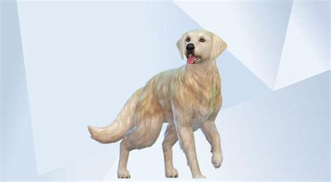 Pin En Pets Sims 4