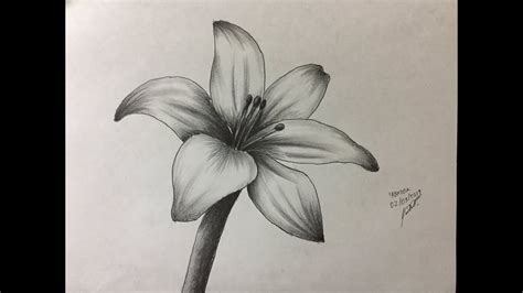 Flores Dibujo A Lapiz Drawing Flowers Youtube