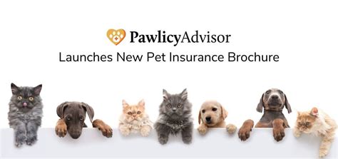 Pawlicy Advisor Launches Pet Insurance Brochures For Vets Pawlicy Advisor