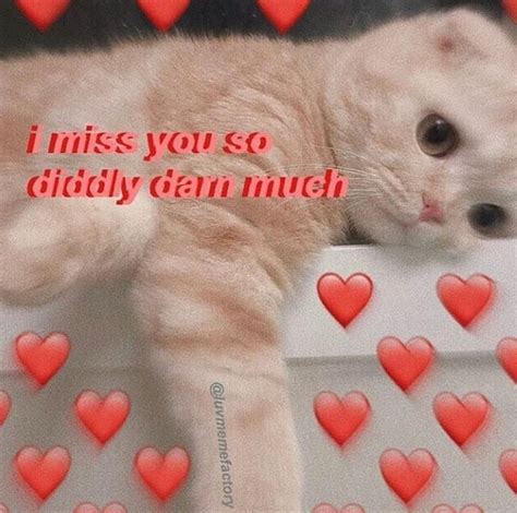 93 Cute Love Wholesome Cat Heart Meme