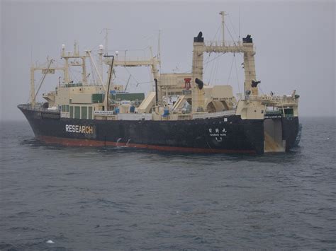 Jul 21, 2021 · photography, shonan, nature, and others. http://www.icrwhale.org/img/Nisshin-maru1.jpg