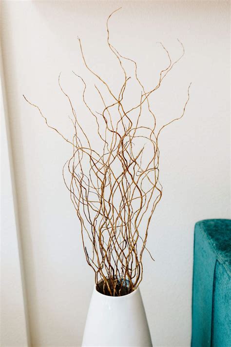 Green Floral Craft 12 Stem Dried Curly Willow Branches 3 4 Feet Tall Perfect Home Decoration
