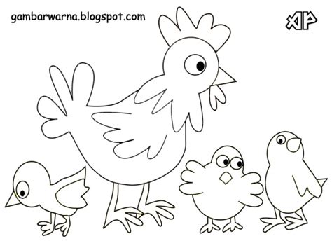 Mewarnai Gambar Ayam Bertelur Kartun Imagesee