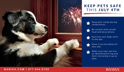 Fourth Of July Safety Tips Pet Safe Your Pet Pets