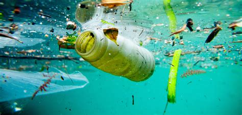 How Enough Floating Plastic Could Change The Sea Hakai Magazine
