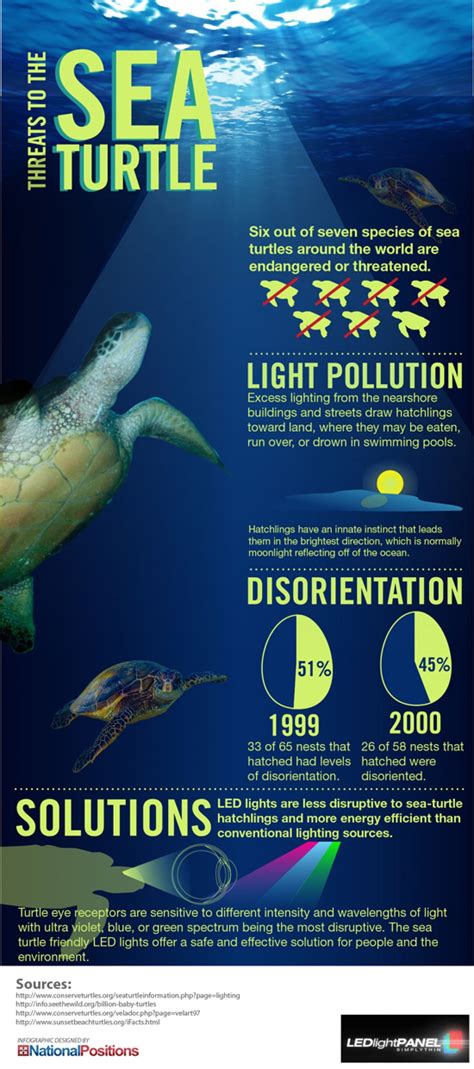 Threats To The Sea Turtles Infographic Save The Sea Turtles Baby Sea