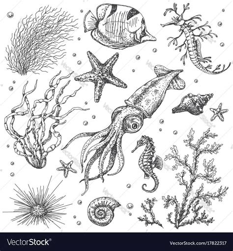 Pin By Bianca Schmargon On Animals Sea Creatures Art Underwater