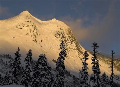 Snow Covered Mountain Stock Photo Image Of Fresh Sunlit 7196888