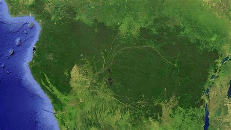 What Goes On The Massive Congo Rainforest Basin Has It Been Fully