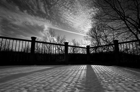 Railing Silhouette Photograph By Carl Neitzert Fine Art America