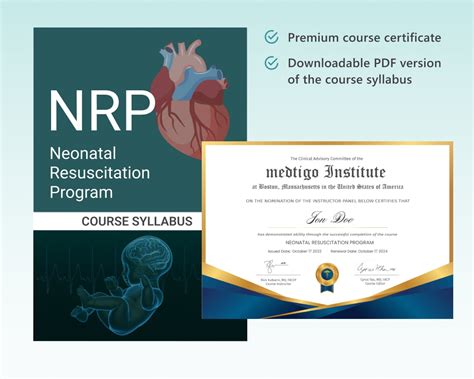 Neonatal Resuscitation Program Nrp