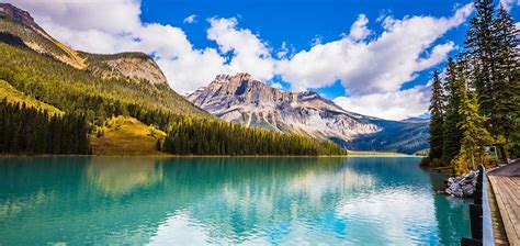 Tüm turistik yerleri, şehir merkezi, alışveriş ve ulaşım çok yakın. Canadian Rockies Tours (Small Group Canadian National ...