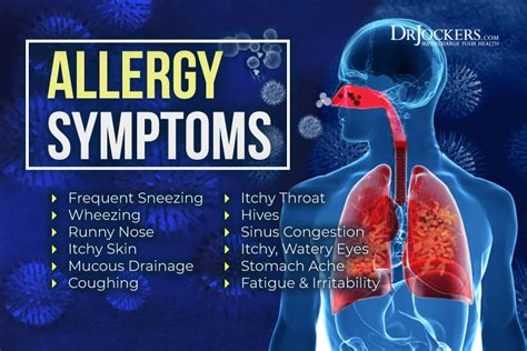 Pollen Allergies Symptoms And Natural Support Strategies