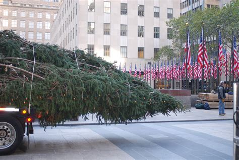 Nyc ♥ Nyc 2012 Rockefeller Center Christmas Tree Arrives In Midtown