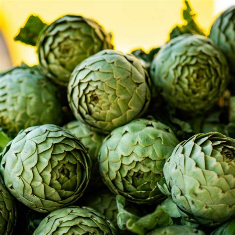 What Do Artichokes Taste Like And How Can You Use Them In Your Meals The Rusty Spoon