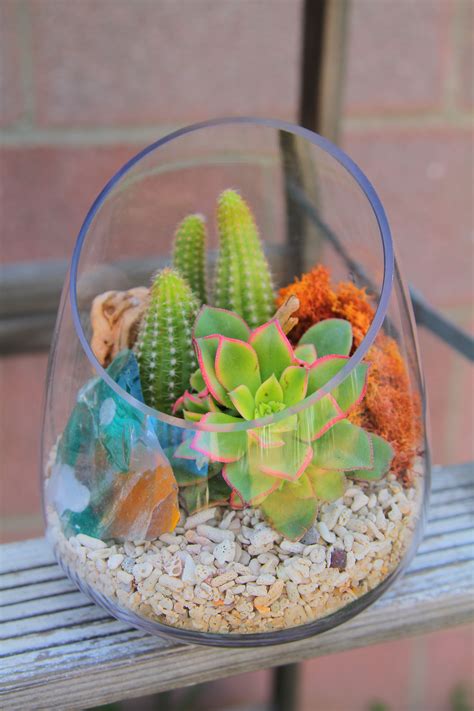 Cactus and succulents are slow growing and great for adding a splash of. Mini Succulent terrarium w/ coral | Terrariums & Air Plant ...