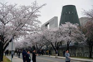 Mengapa hulu tidak begitu terkenal di indonesia? Arti kata shibal dalam bahasa korea - TondanoWeb.com