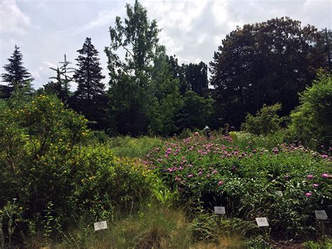 Am günstigsten bekommt man garten finde aktuelle garten angebote aus leipzig und umgebung, sowie viele weitere geschäfte, in denen. Botanischer Garten & Schmetterlingshaus Leipzig