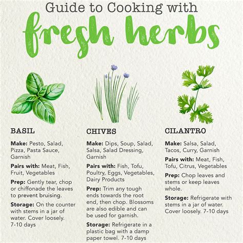 Guide To Cooking With Fresh Herbs Cooking With Fresh Herbs Fresh