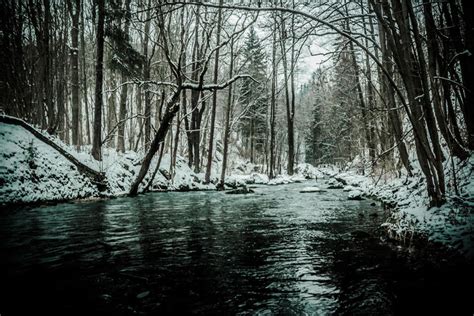 Forest River In Winter By Danielgliese On Deviantart