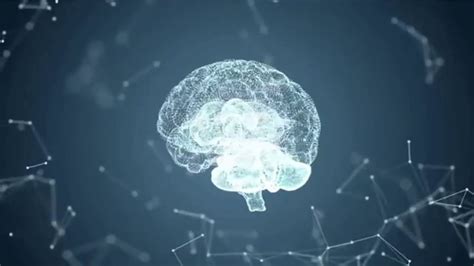 Holographic Brain Free Hd Stock Footage Youtube