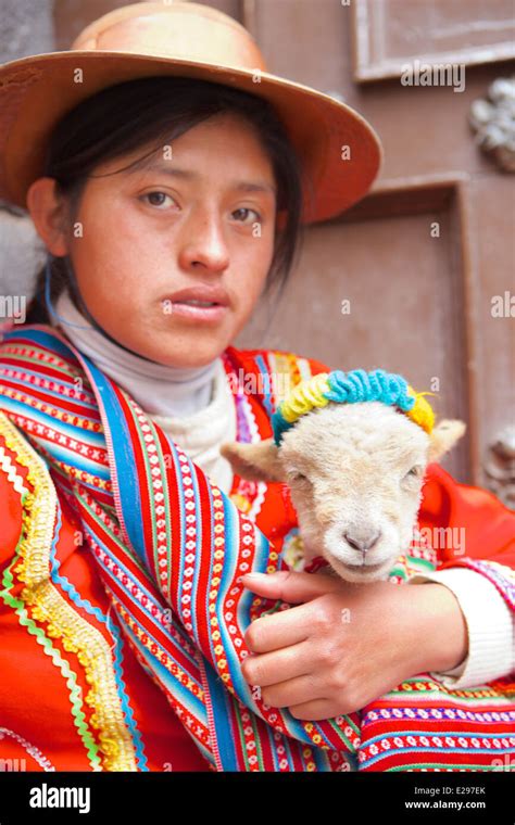 A Portrait Of A Quechua Girl In Traditional Native Dress Holding A Lamb