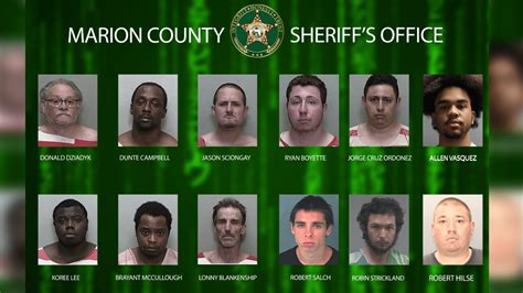 a dozen men arrested in sexual predator investigation in marion county