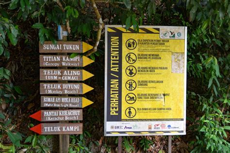 Over a year ago problem with this question? Pantai Kerachut - How to Visit The Best Beach in Penang!