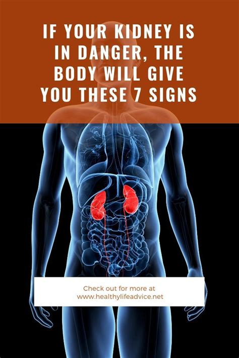 Damaged Kidneys Often Lead To Swellings In The Body Especially In The